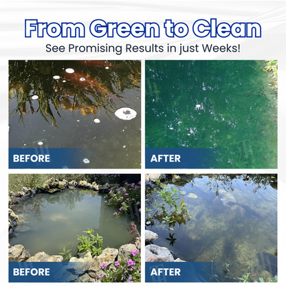 Alisanda® Aqua-Guardian Pro Formula🐟 From Swampy Green to Crystal Clear – Without the Chemicals