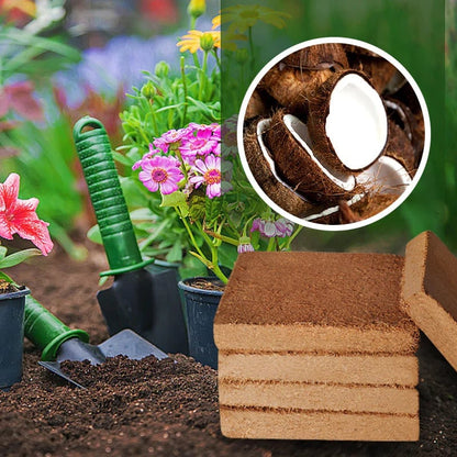🔥2026 New Year Sale 49% OFF - Organic Coconut Coir for Plants