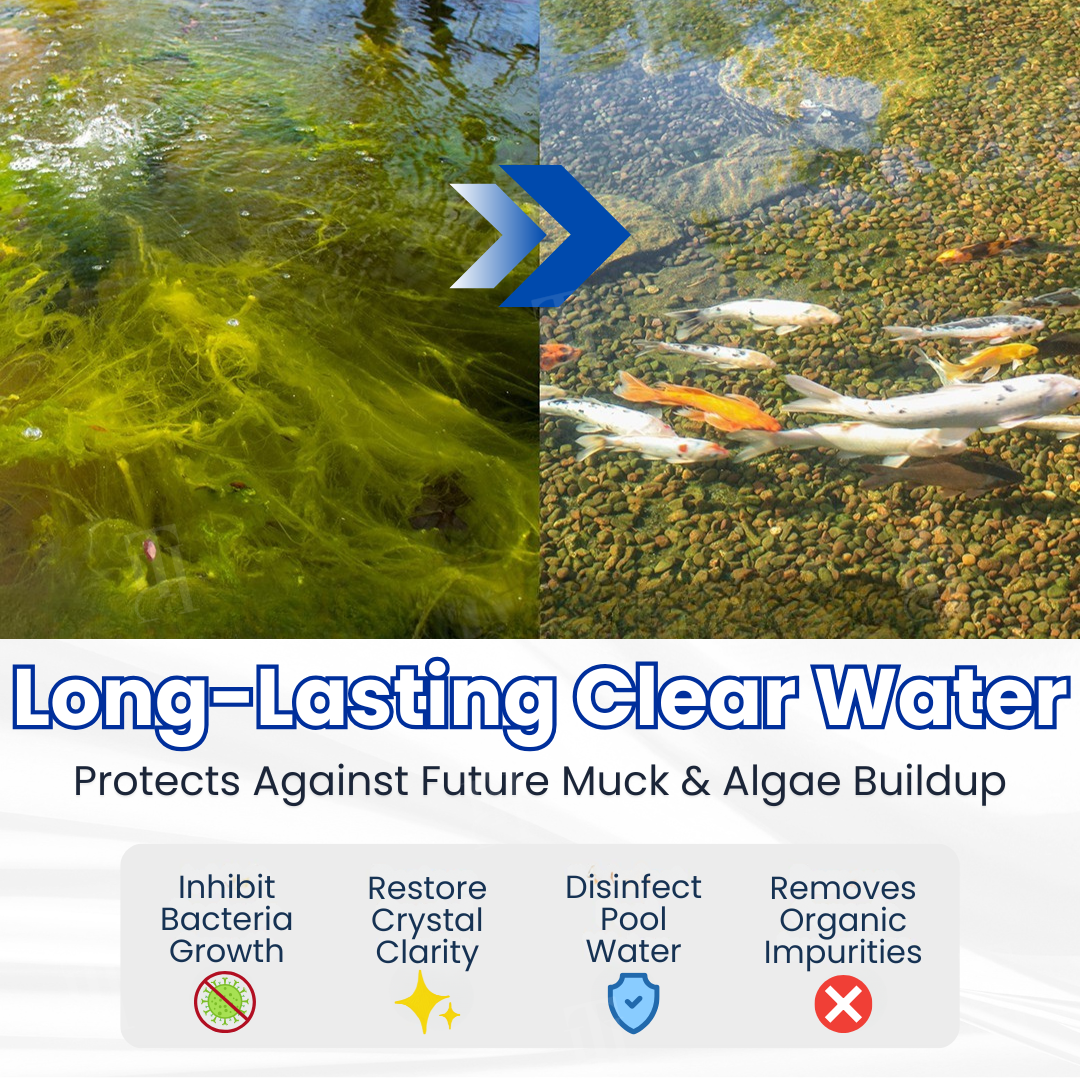 Alisanda® Aqua-Guardian Pro Formula🐟 From Swampy Green to Crystal Clear – Without the Chemicals