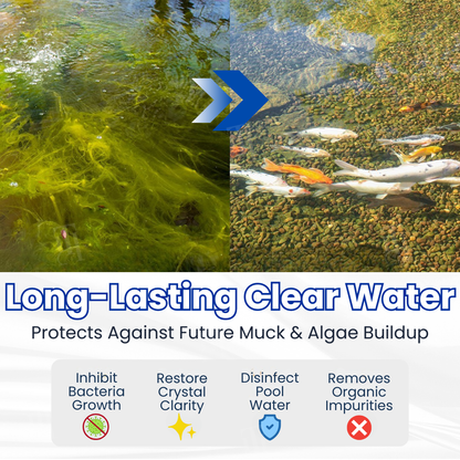 Alisanda® Aqua-Guardian Pro Formula🐟 From Swampy Green to Crystal Clear – Without the Chemicals