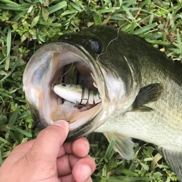 🔥Final 3 Hours: 80% OFF Bionic Lure – Catch Big Fish Fast! 🎣